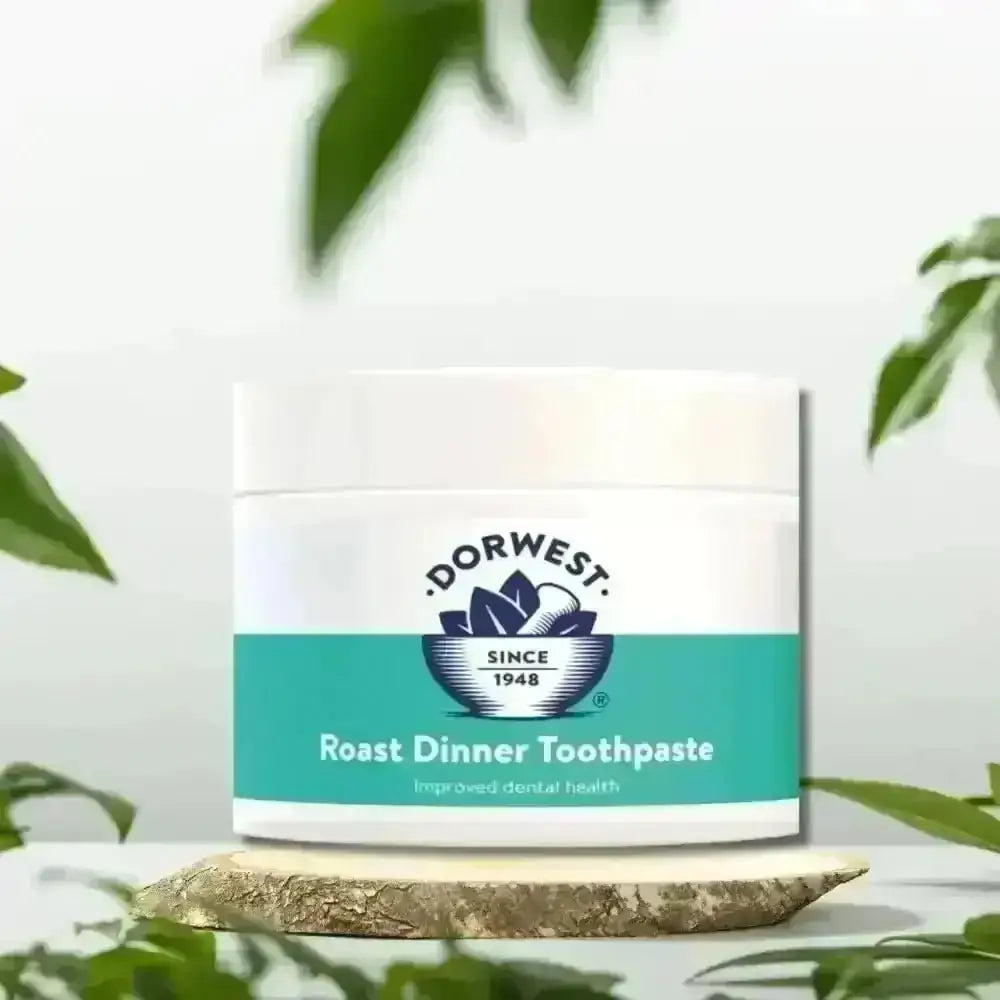 Dorwest Roast Dinner Toothpaste Jar for Pets Teeth Easier