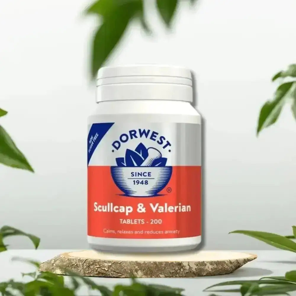 Dorwest Scullcap and Valerian Tablets for Pets Anxiety Relief
