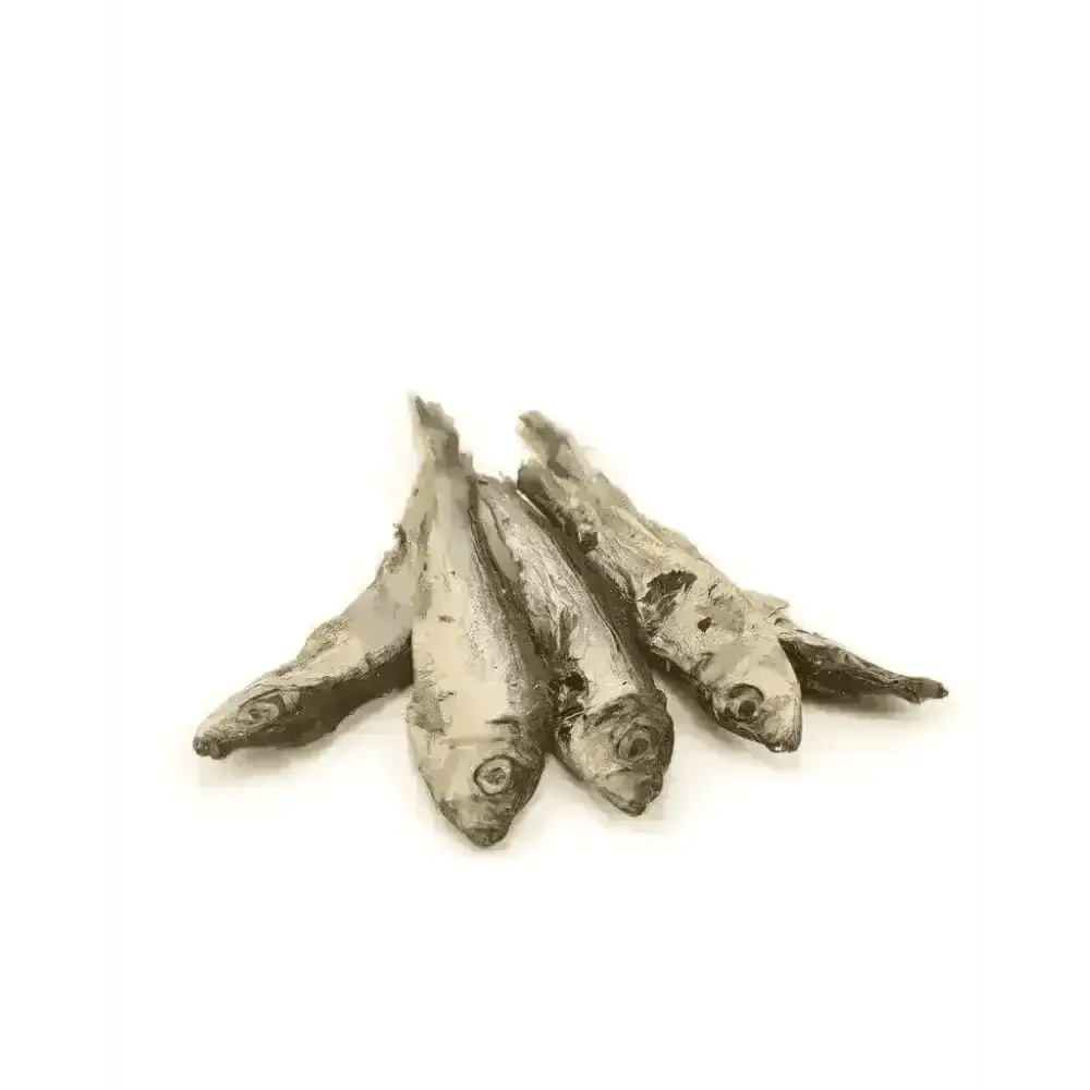 Natural dried sprats for dogs with essential fatty acids and healthy natural treats