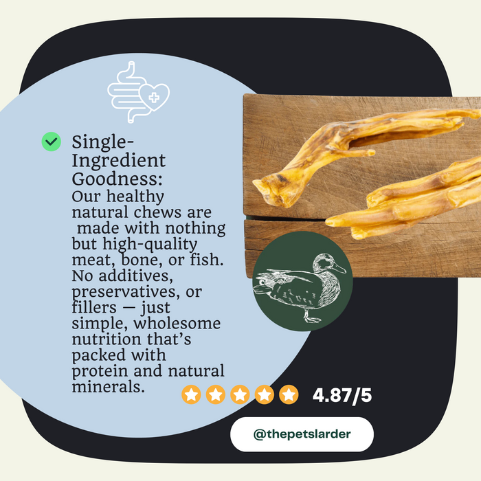 Duck Feet Natural Dog Chew - Natural Dog Chew