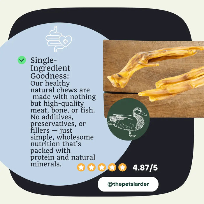 Duck Feet Natural Dog Chew - Natural Dog Chew