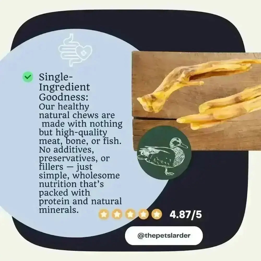Duck feet natural dog chews with British duck texture and color