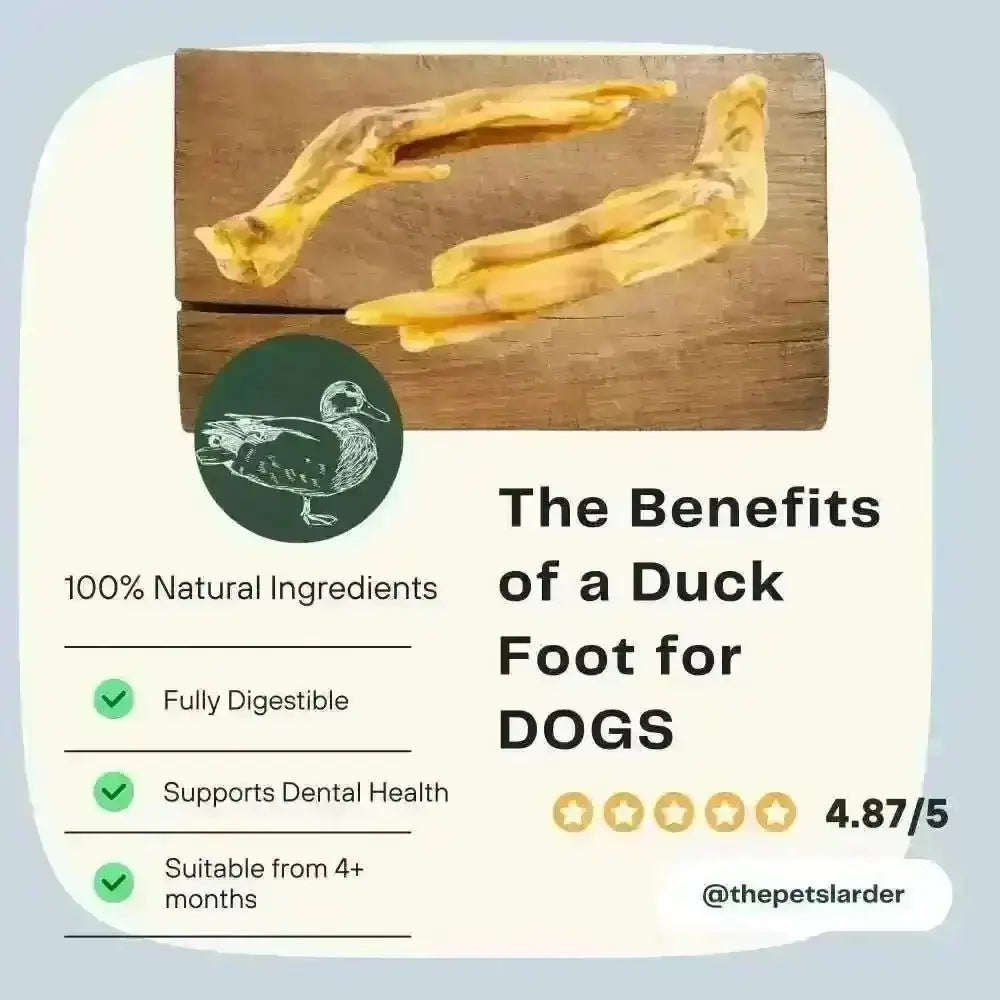 Duck Feet Natural Dog Chew: British duck feet toy, yellowish-brown textured surface
