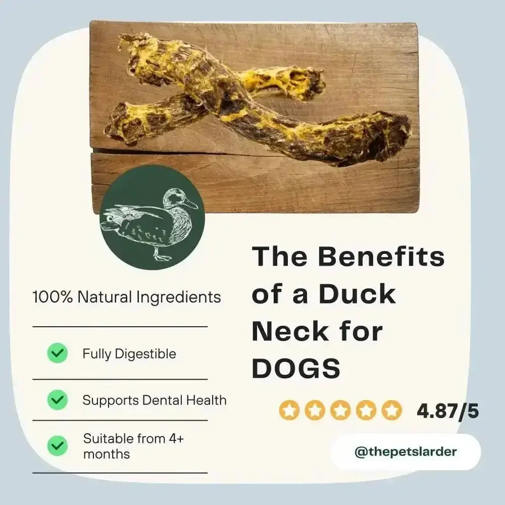 Duck Neck Natural Meat Chew for Dogs from Pets Larder Dried