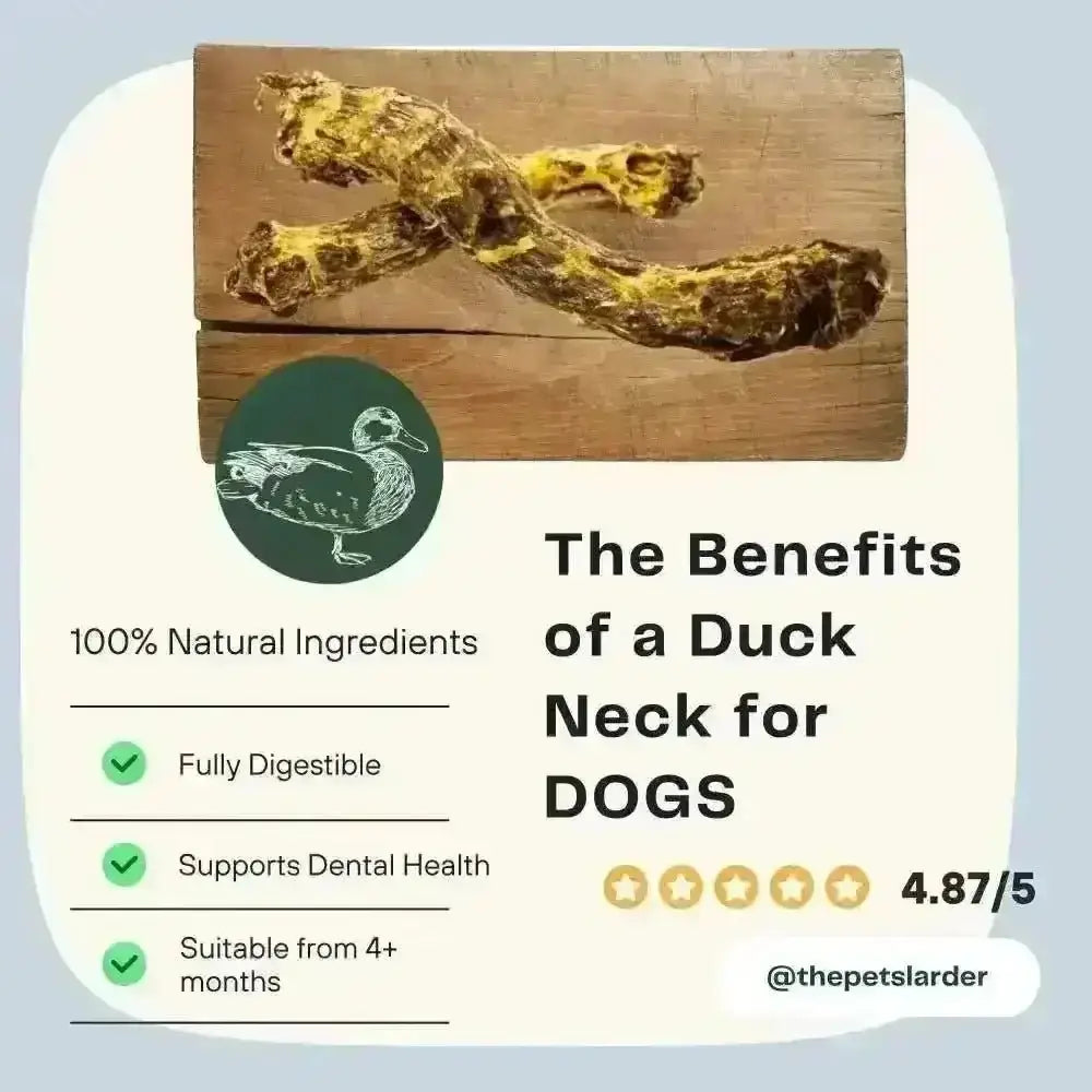 Duck Neck Natural Meat Chew for Dogs from Pets Larder Dried