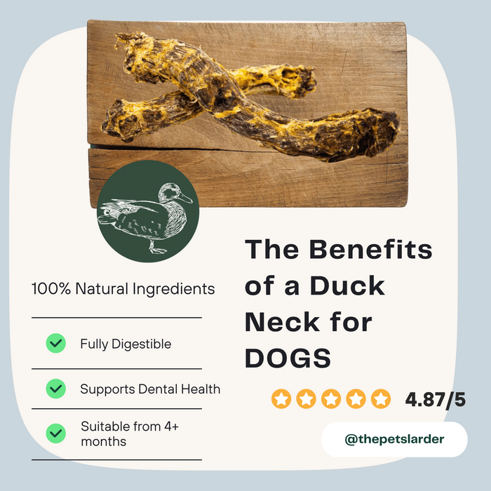 Duck Neck Natural Meat Chew For Dogs - Natural Dog Chew