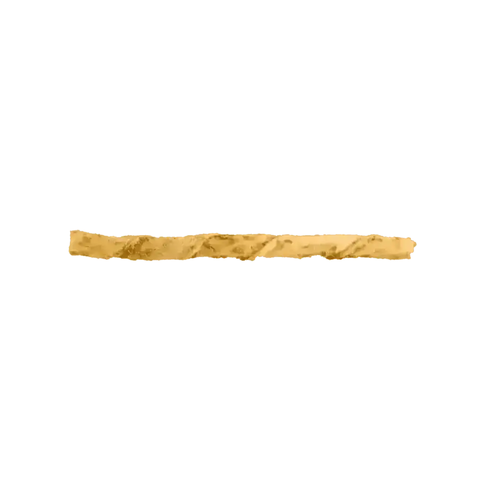 Golden braided bread stick with rustic texture for Earth Animal No-Hide Peanut Butter Dog Stix
