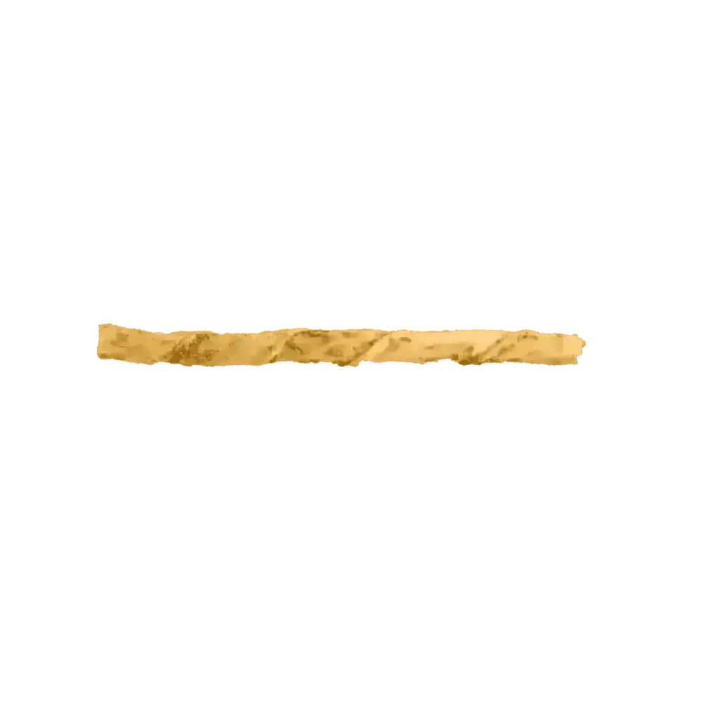 Golden braided bread stick with rustic texture for Earth Animal No-Hide Peanut Butter Dog Stix