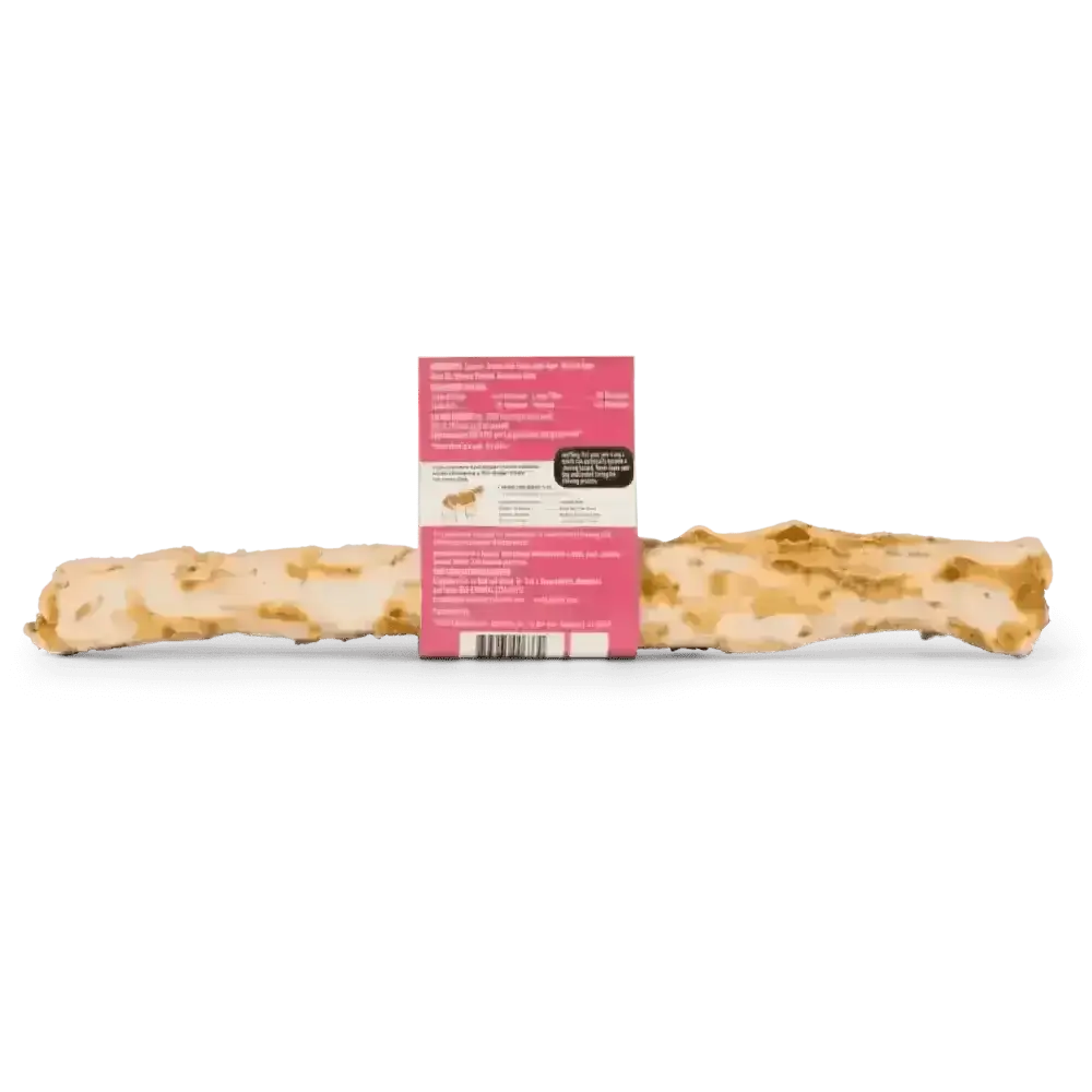 Earth Animal No-Hide Wholesome Salmon Chew large bone-shaped toy