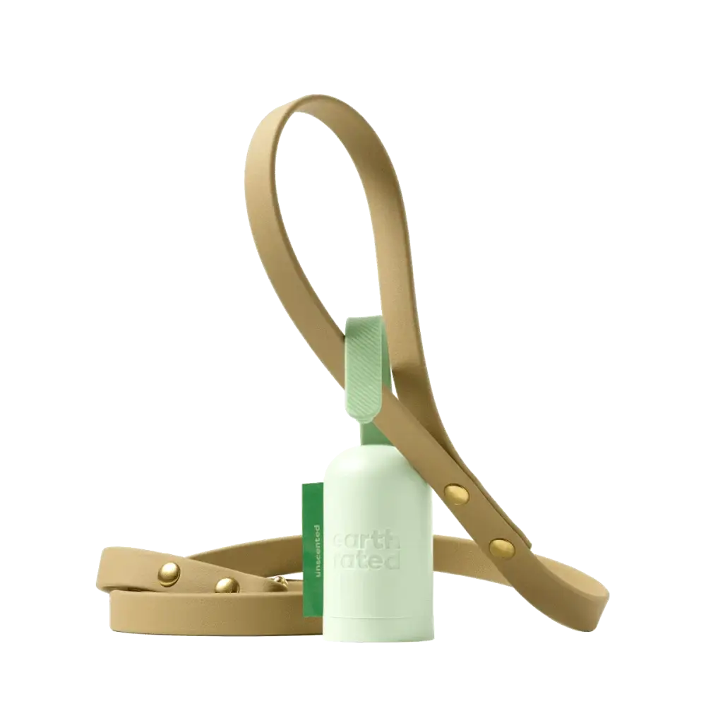 Earth Rated cream leather bracelet with gold hardware and green accents