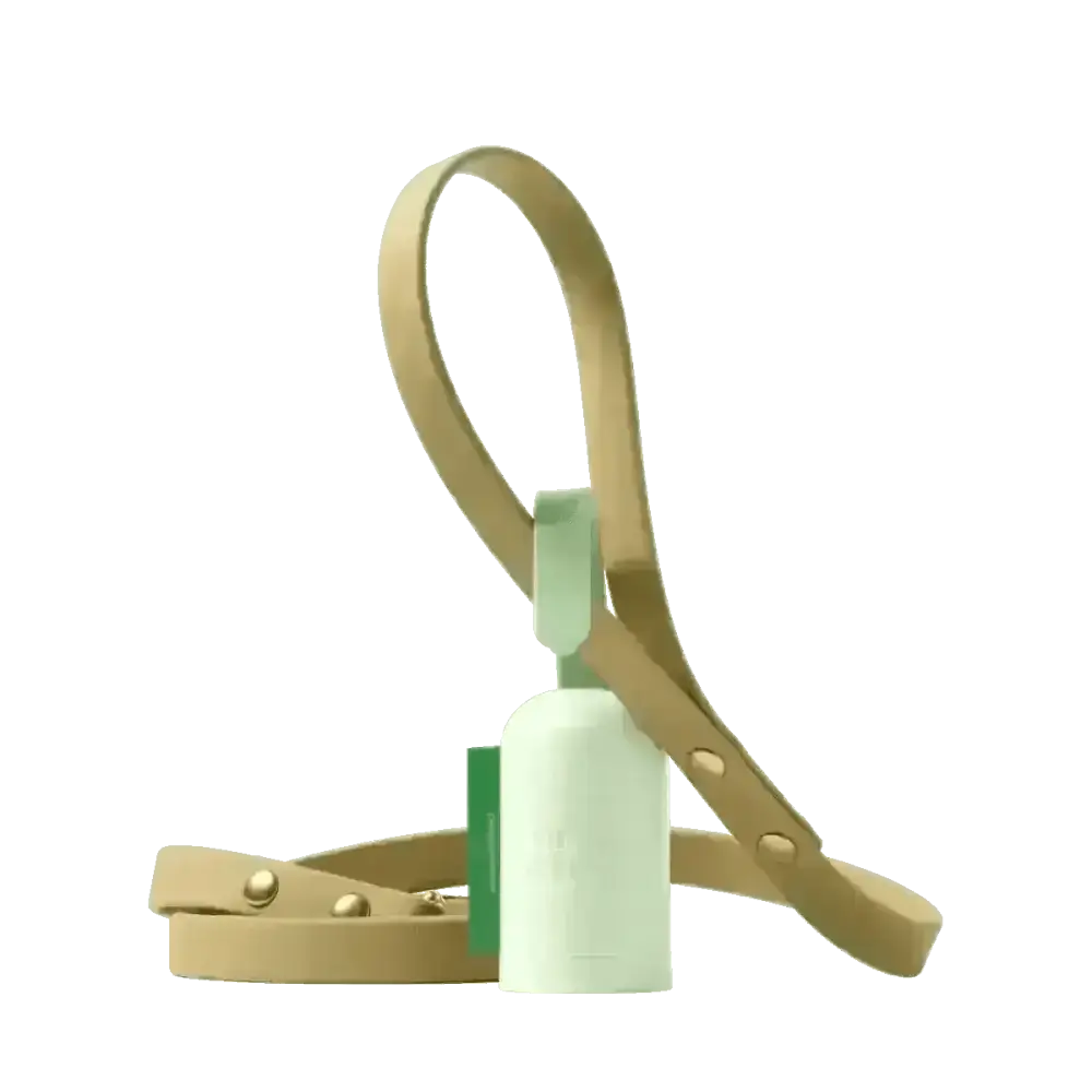 Earth Rated cream leather bracelet with gold hardware and green accents