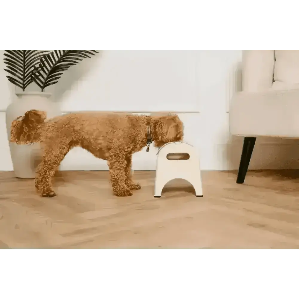 EasyEat 2.0 Beige plastic step stool with handle cutout for natural cat food