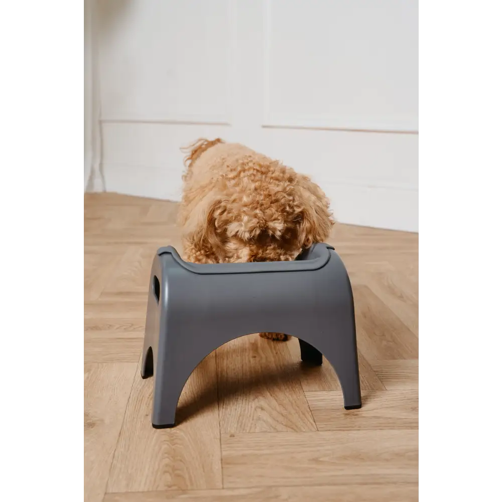 EasyEat 2.0 Charcoal Grey dog feeding stand with curved sides and sturdy legs