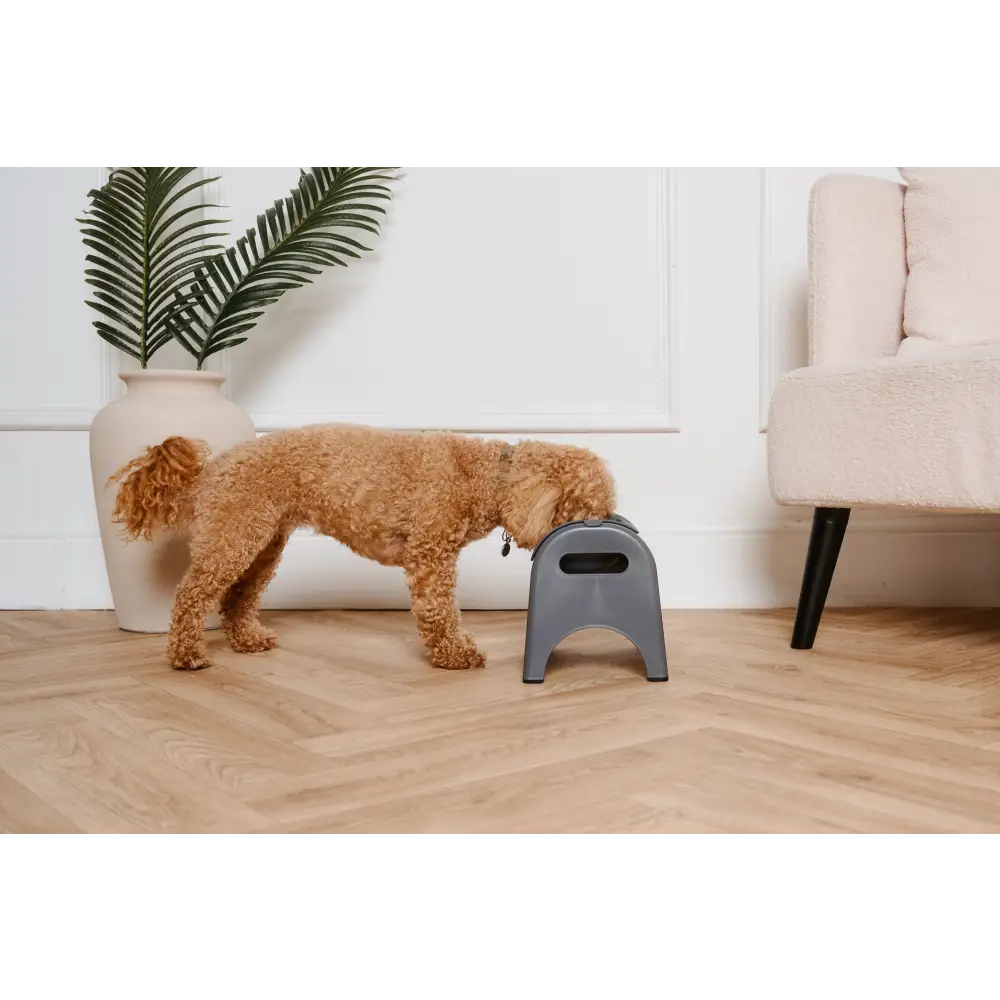 Gray plastic step stool with handle, EasyEat 2.0 Charcoal Grey for best dry dog food