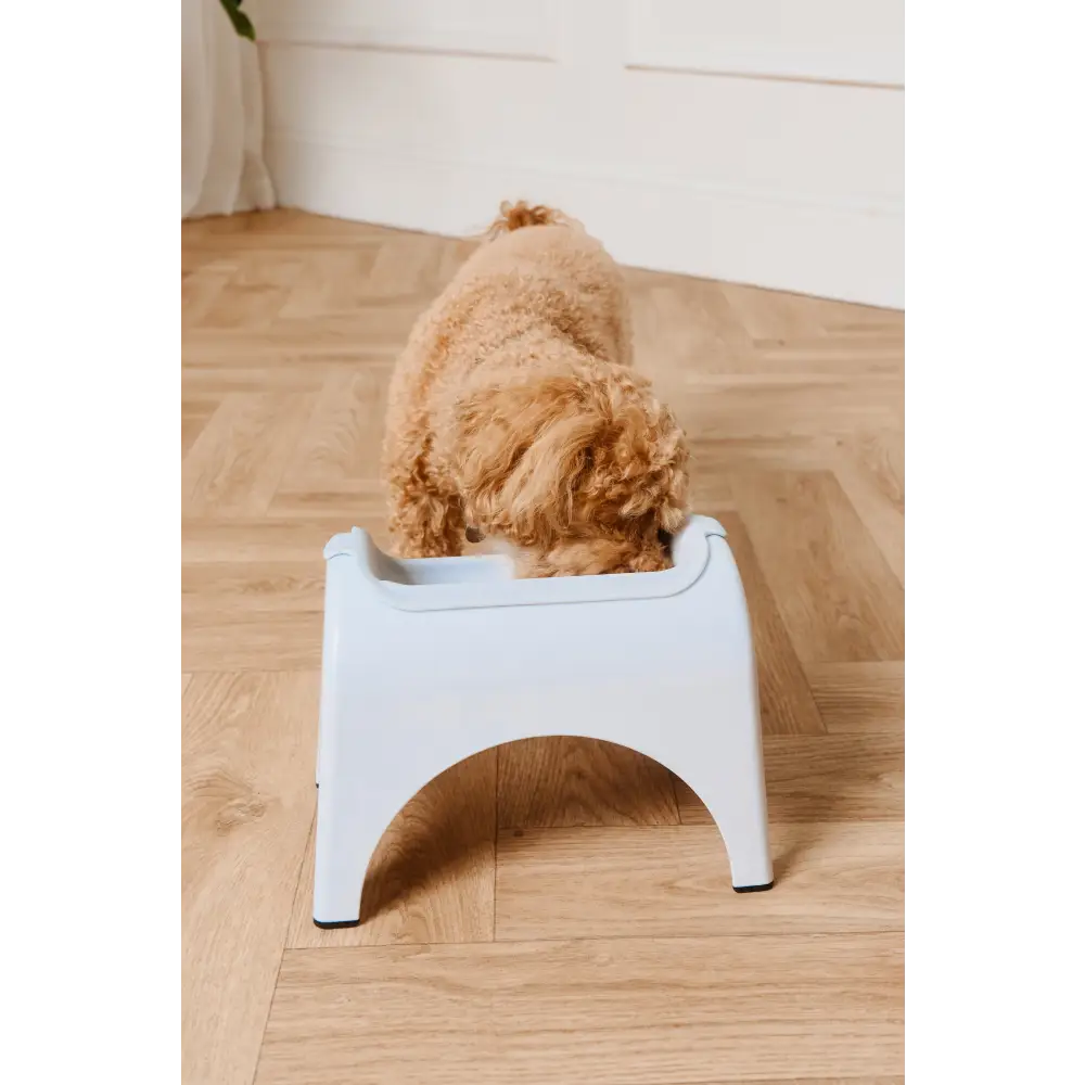 EasyEat 2.0 Powder Blue white plastic dog feeding station with curved sides and sturdy legs