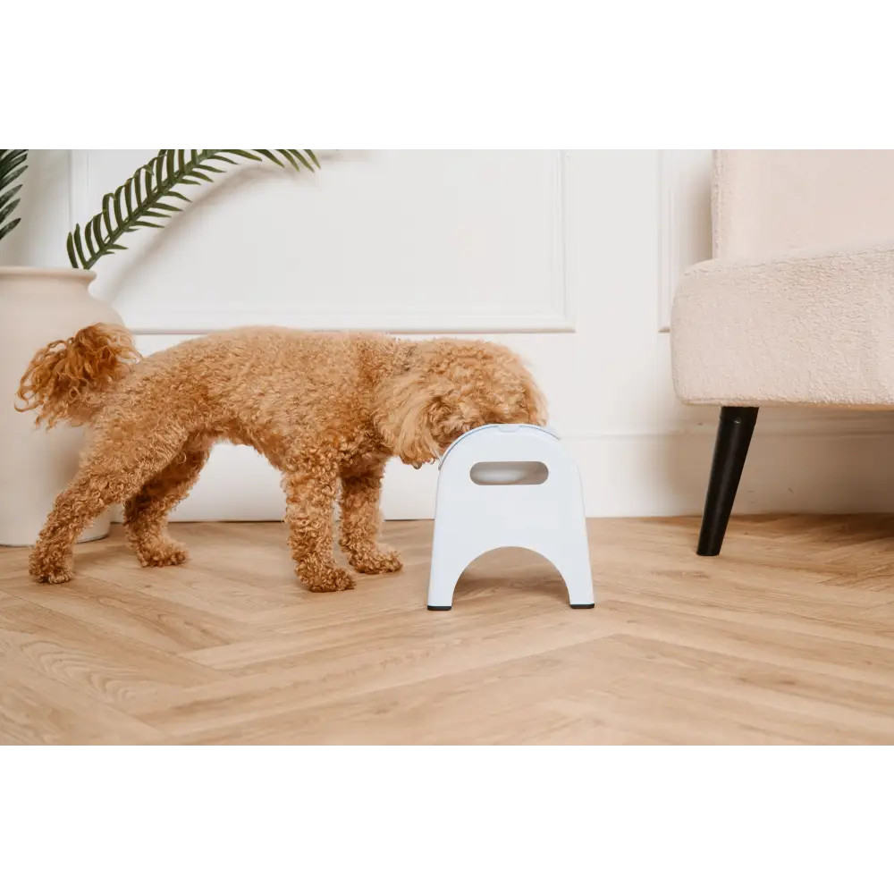 EasyEat 2.0 Powder Blue white plastic step stool with handle