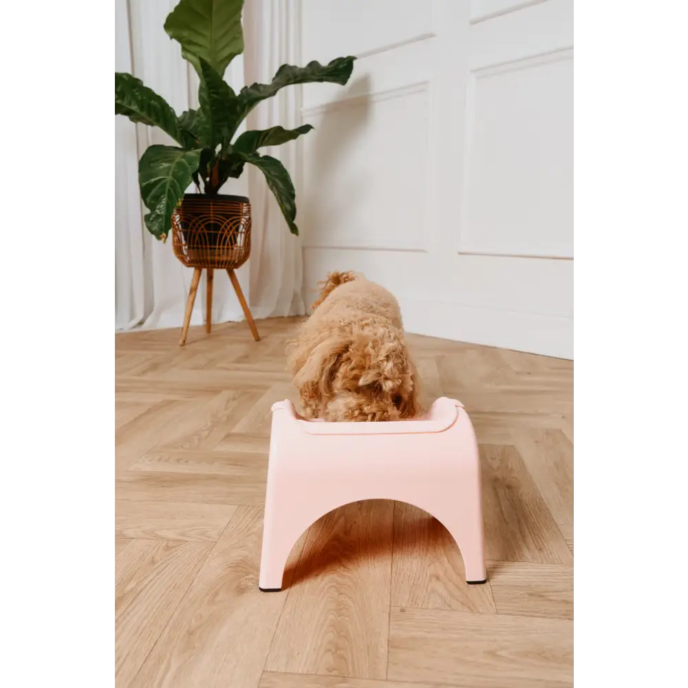 EasyEat 2.0 Rose Pink pet feeding station for best dry dog food