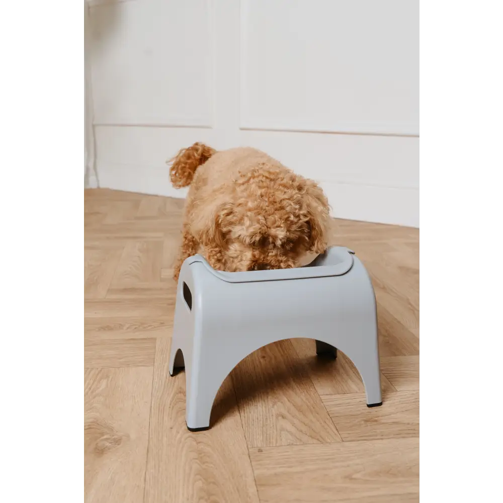 EasyEat 2.0 Steel Grey pet feeding station with curved bowl top for natural cat food