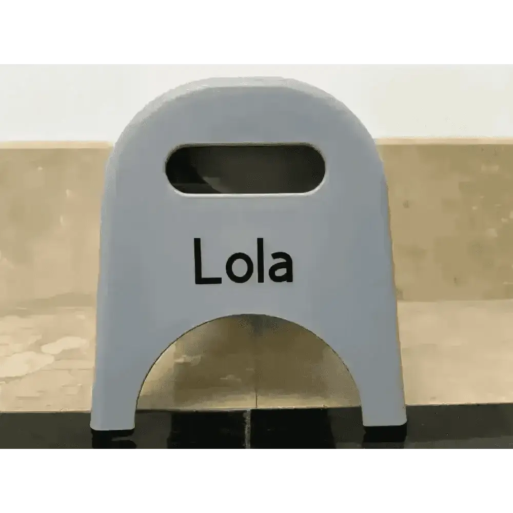 Gray Lola plastic step stool with handle, EasyEat 2.0 Steel Grey for natural cat food