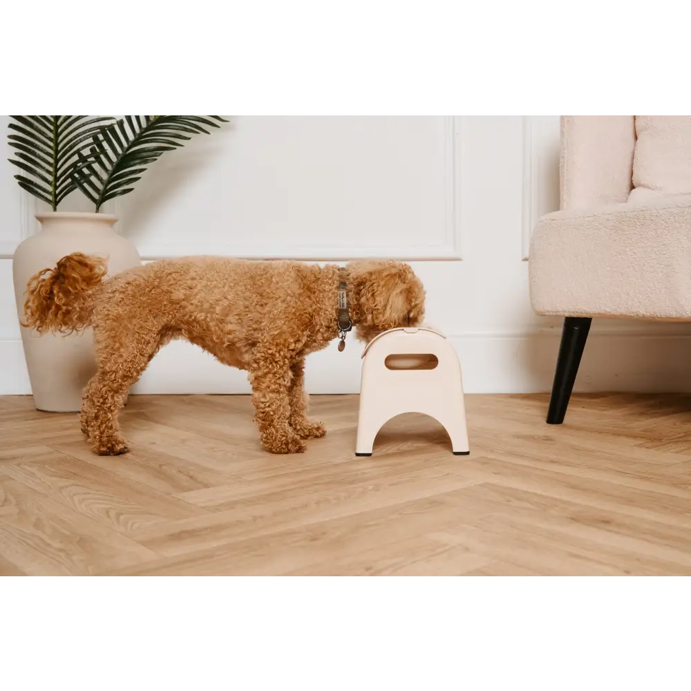 Cream-colored EasyEat slow feeder plastic step stool with handle cutout