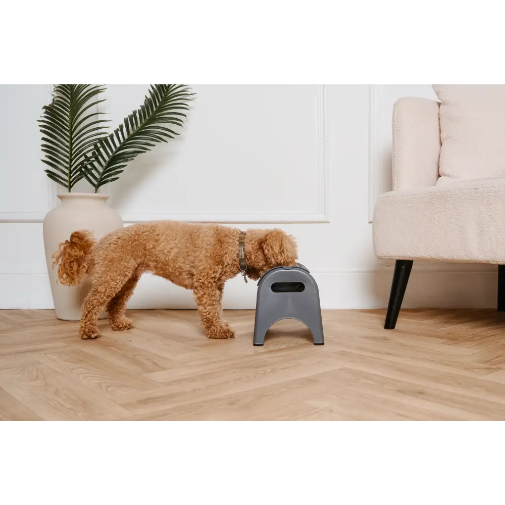 Gray plastic EasyEat slow feeder step stool with handle cutout