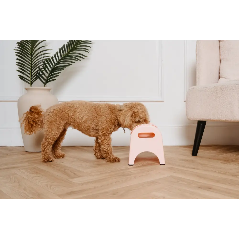 Pink EasyEat slow feeder with plastic step stool and handle