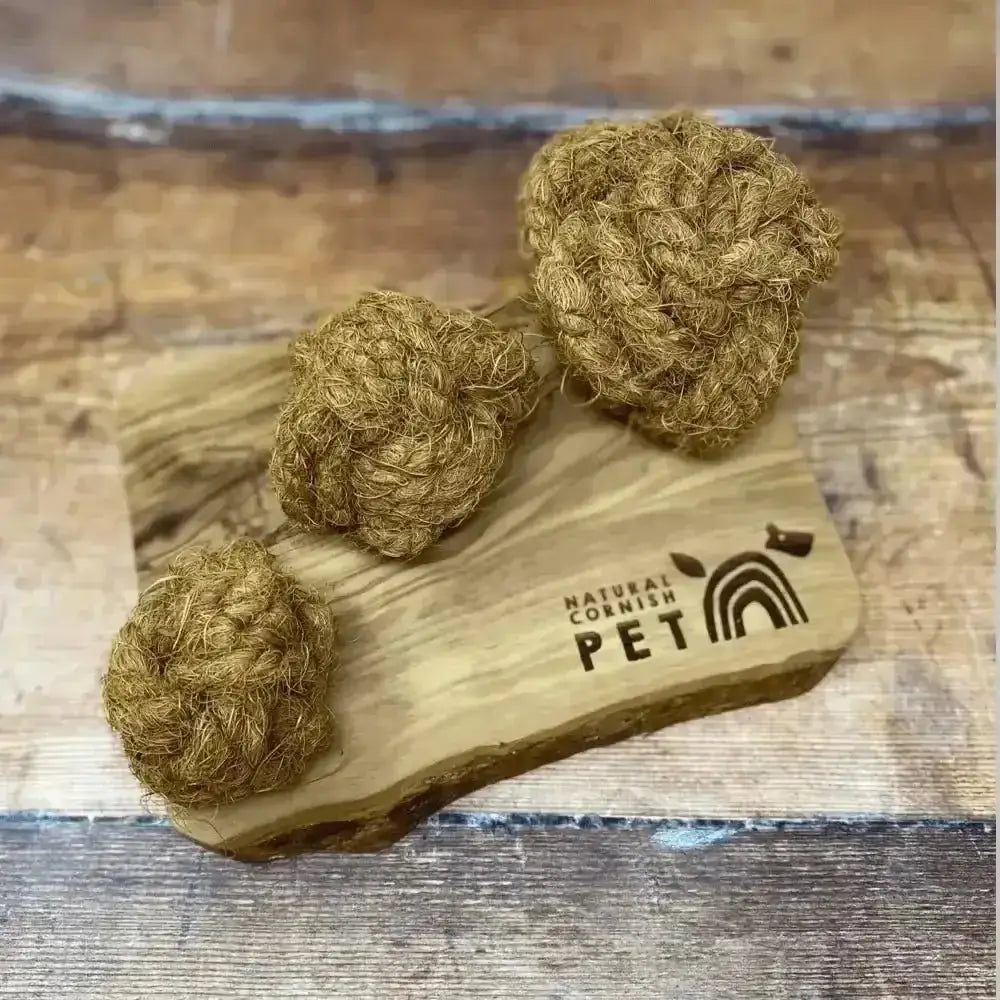 Eco-friendly coconut husk chew ball on olive wood stand with Natural Cornish Pet logo