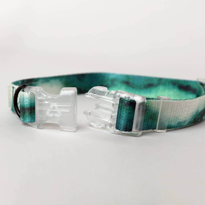 EDDGY Eco Dog Fashion Collar - Maximus