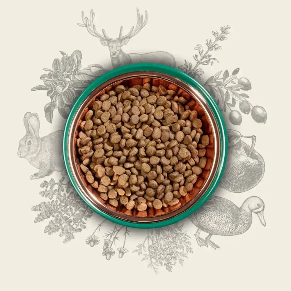 Eden 80/20 Country Cuisine Game With Lamb bowl of kibble rich in amino acids