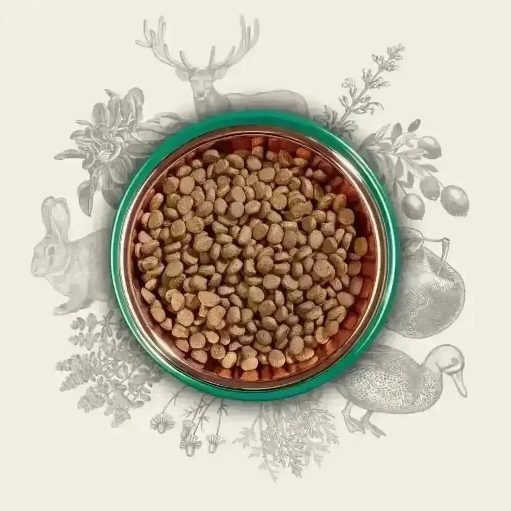 Eden 80/20 Country Cuisine Game With Lamb bowl of kibble rich in amino acids