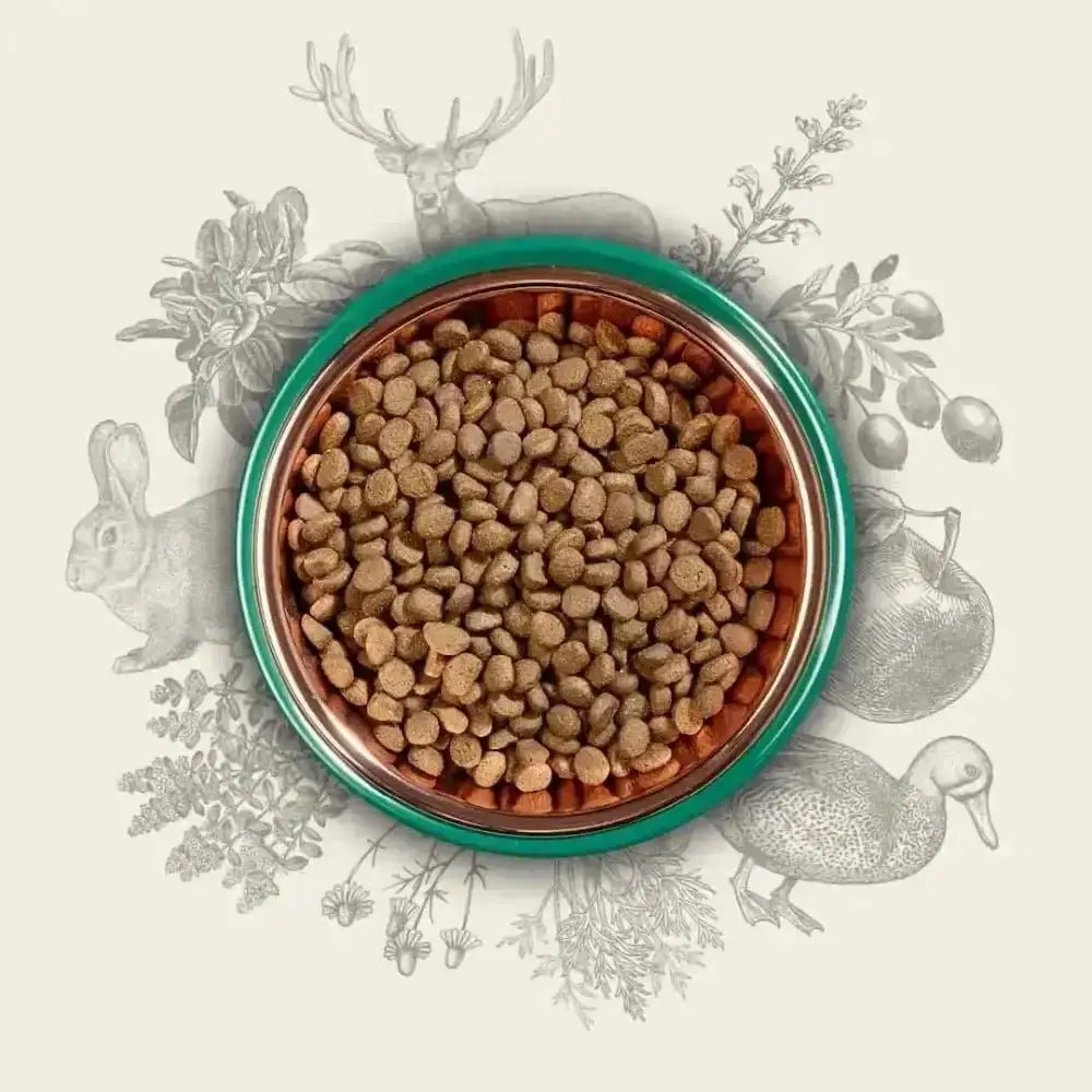 Eden 80/20 Country Cuisine Game With Lamb bowl of kibble rich in amino acids
