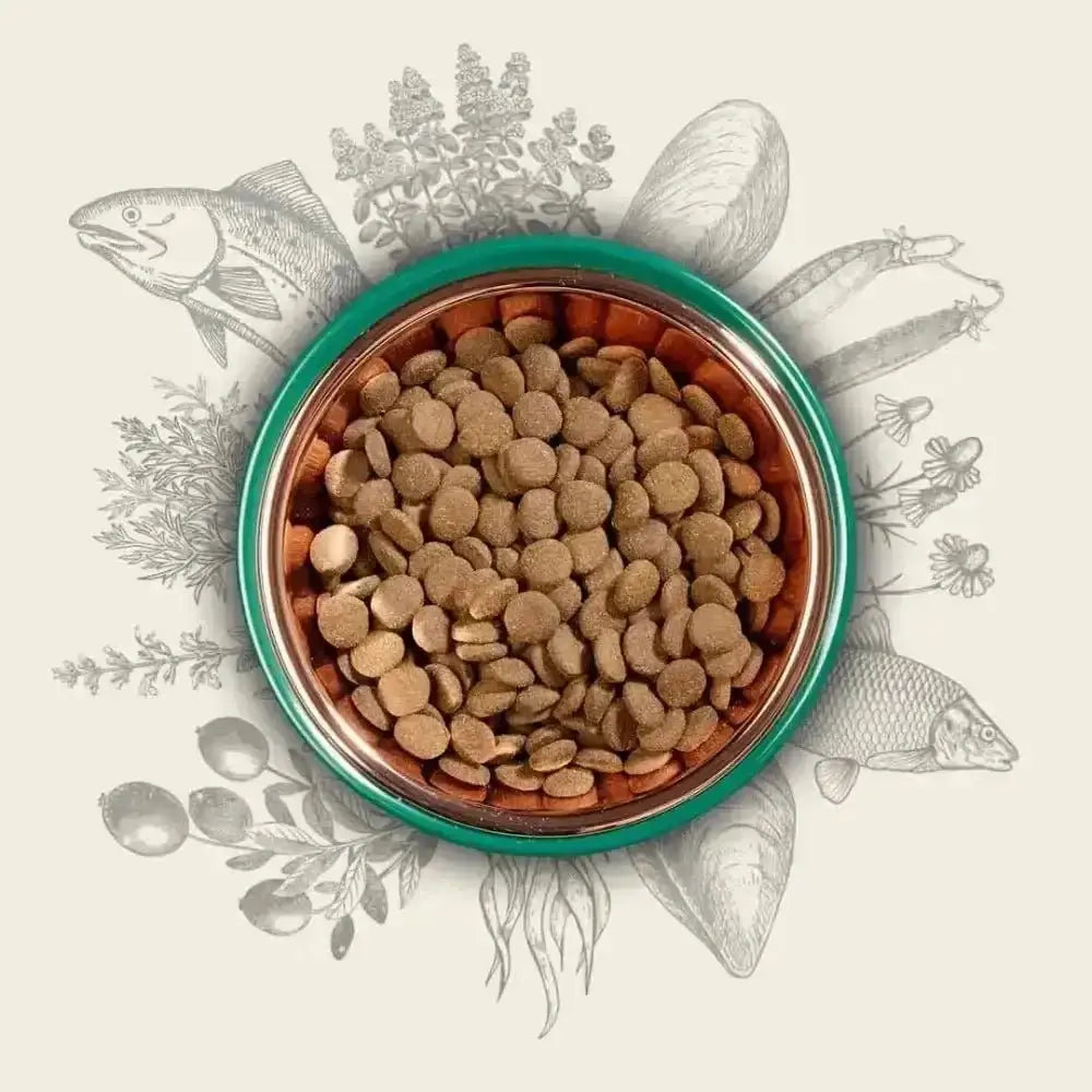 Eden 80/20 Fish Cuisine green bowl with brown kibble, fish, plants, mussel, oil, elements