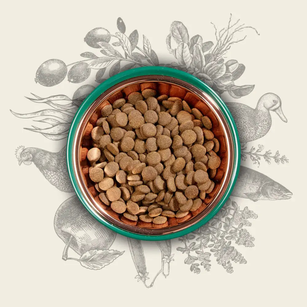 Eden Natural Dog Food 80/20 Original