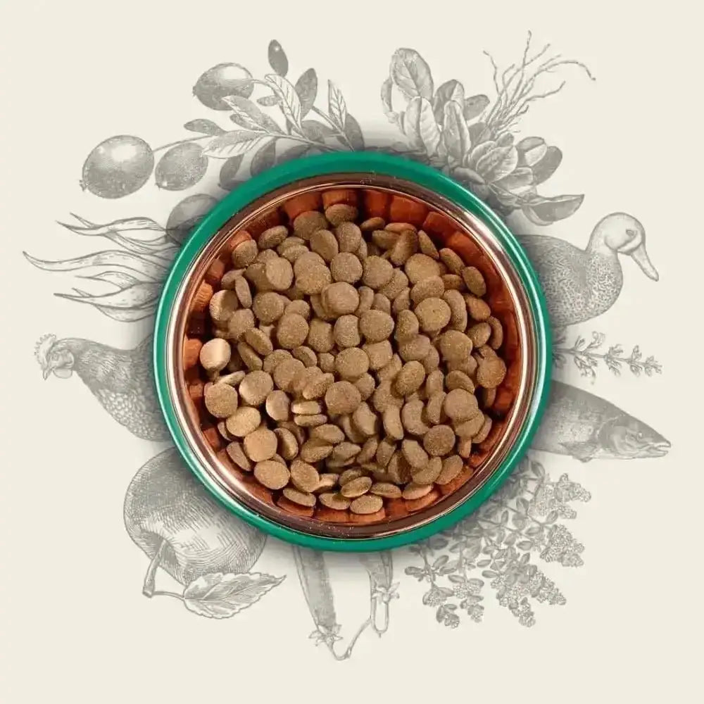 Eden 80/20 Original Cuisine green copper pet bowl with bird design and kibble
