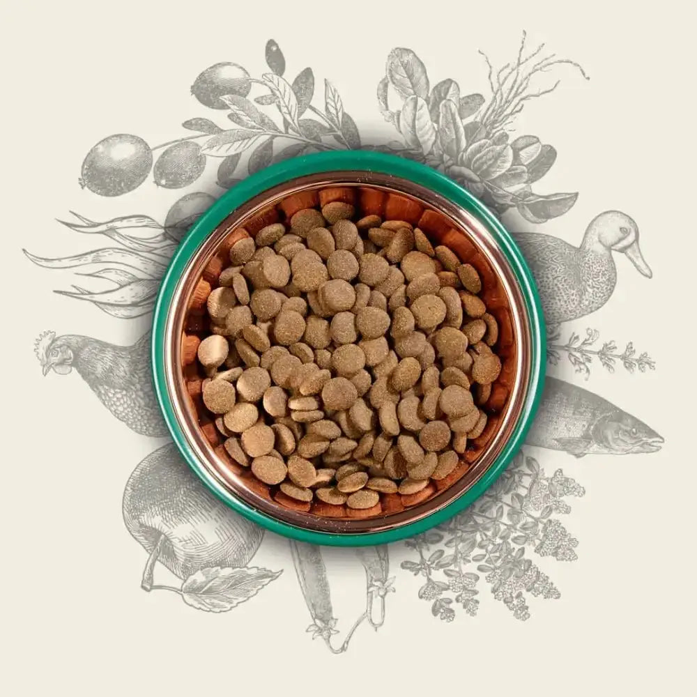 Eden 80/20 Original Cuisine green copper pet bowl with bird design and kibble