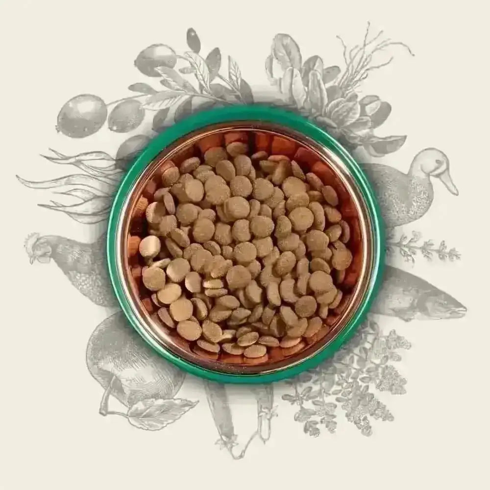 Eden 80/20 Original Cuisine green copper pet bowl with bird design and kibble