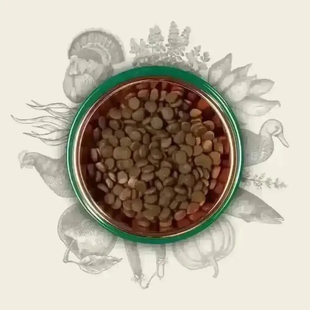 Eden 80/20 Puppy Cuisine green copper bowl with turkey kibble