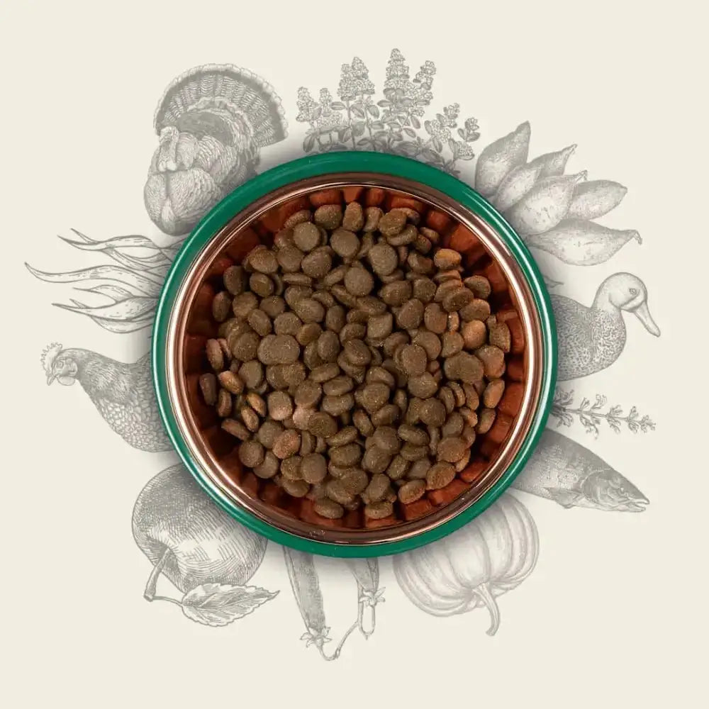 Eden 80/20 Puppy Cuisine green copper bowl with turkey kibble