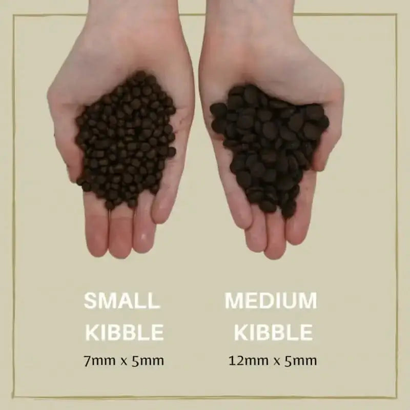 Eden 80/20 Puppy Cuisine brown kibble with salmon and turkey in hands