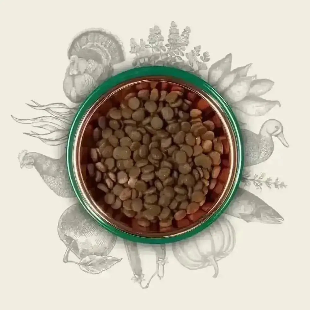 Eden 80/20 Puppy Cuisine green copper bowl with turkey kibble