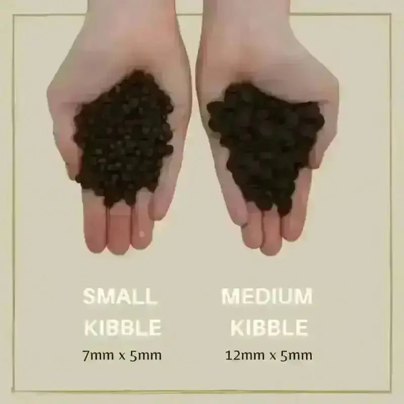 Eden 80/20 Puppy Cuisine brown kibble with salmon and turkey in hands