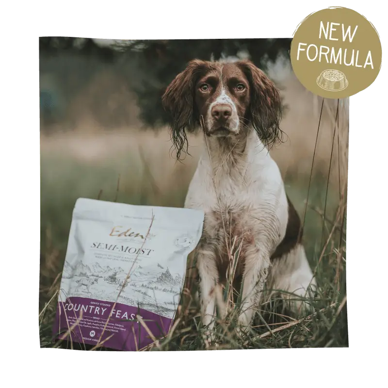 Eden Natural Dog Food Semi-Moist Country Feast