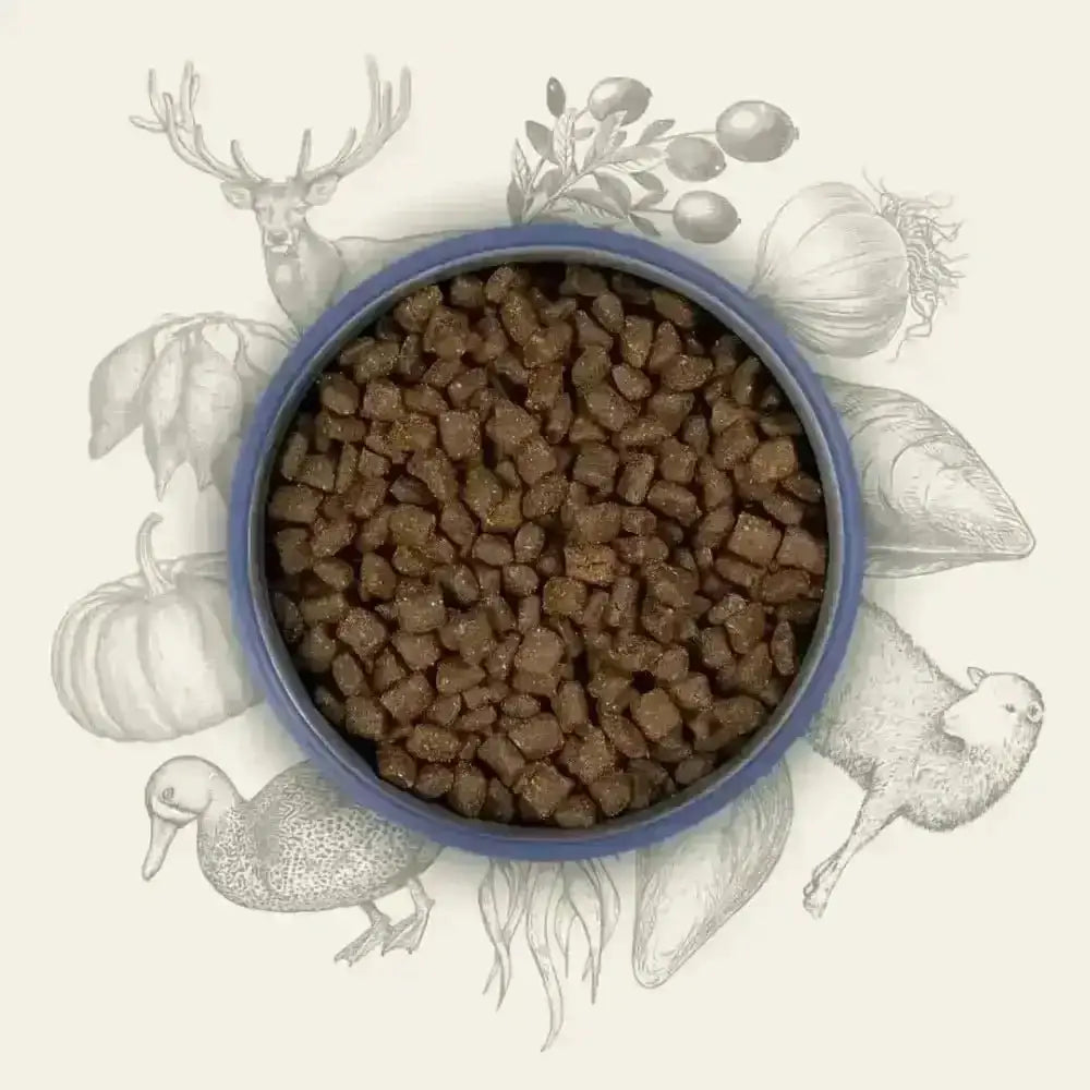 Blue bowl with brown kibble from Eden Semi-Moist Country Feast rich in amino acids