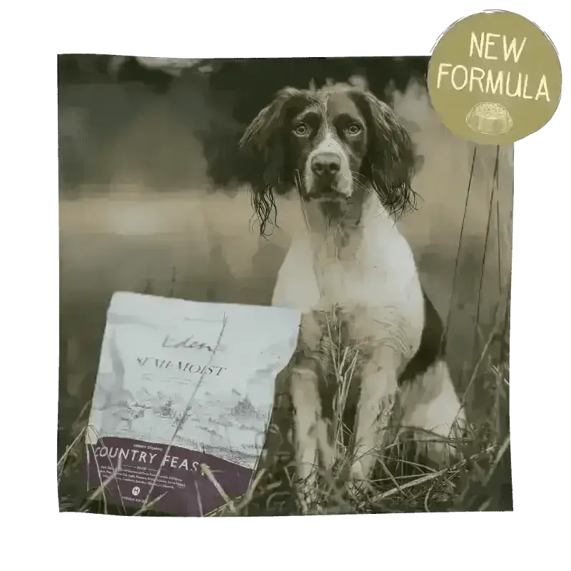 Brown and white Eukanuba Country Feast dog food bag highlighting amino acids hydrate
