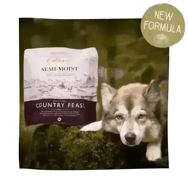 Eden Semi-Moist Country Feast dog food bag highlighting amino acids hydrate for optimal nutrition