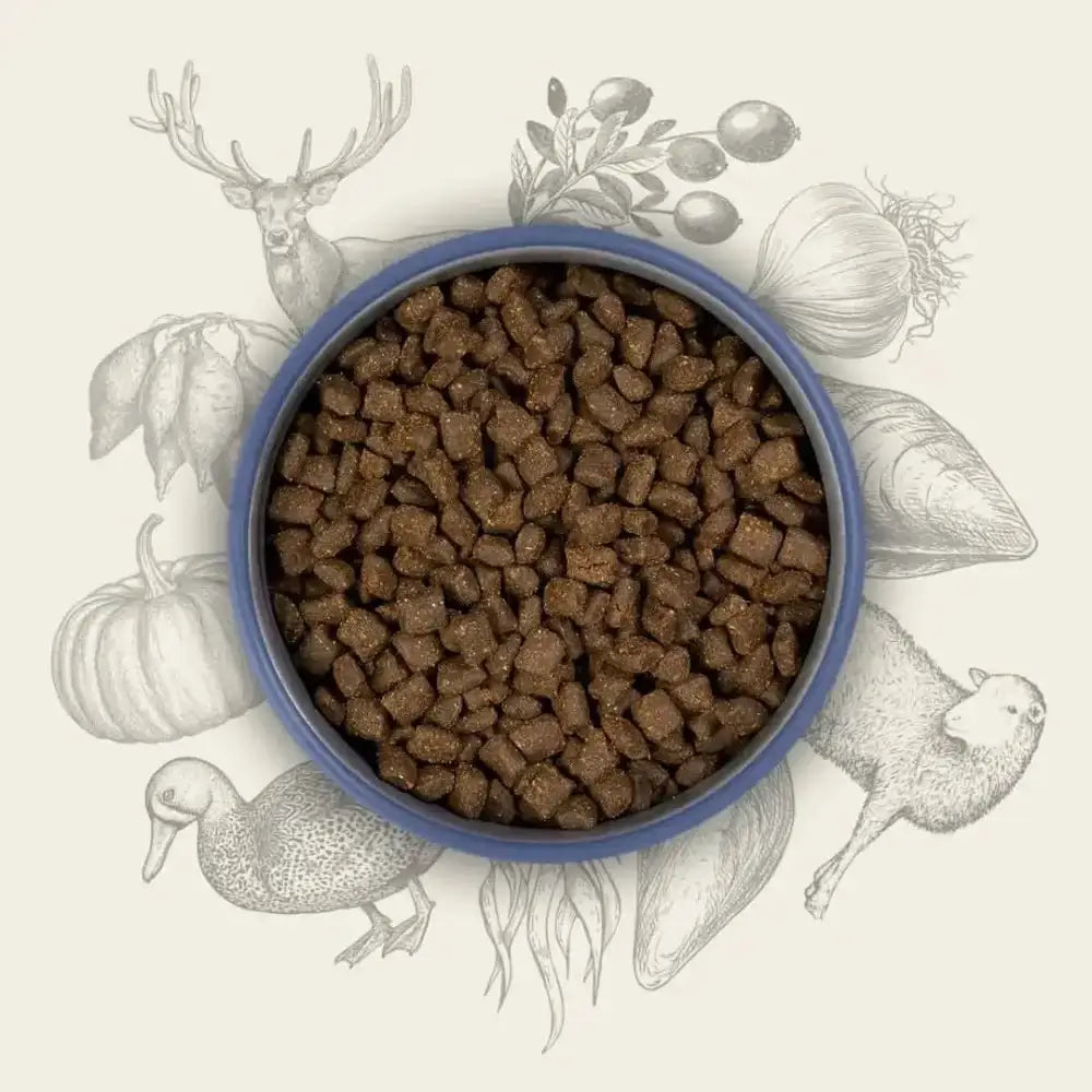 Blue bowl with brown kibble from Eden Semi-Moist Country Feast rich in amino acids