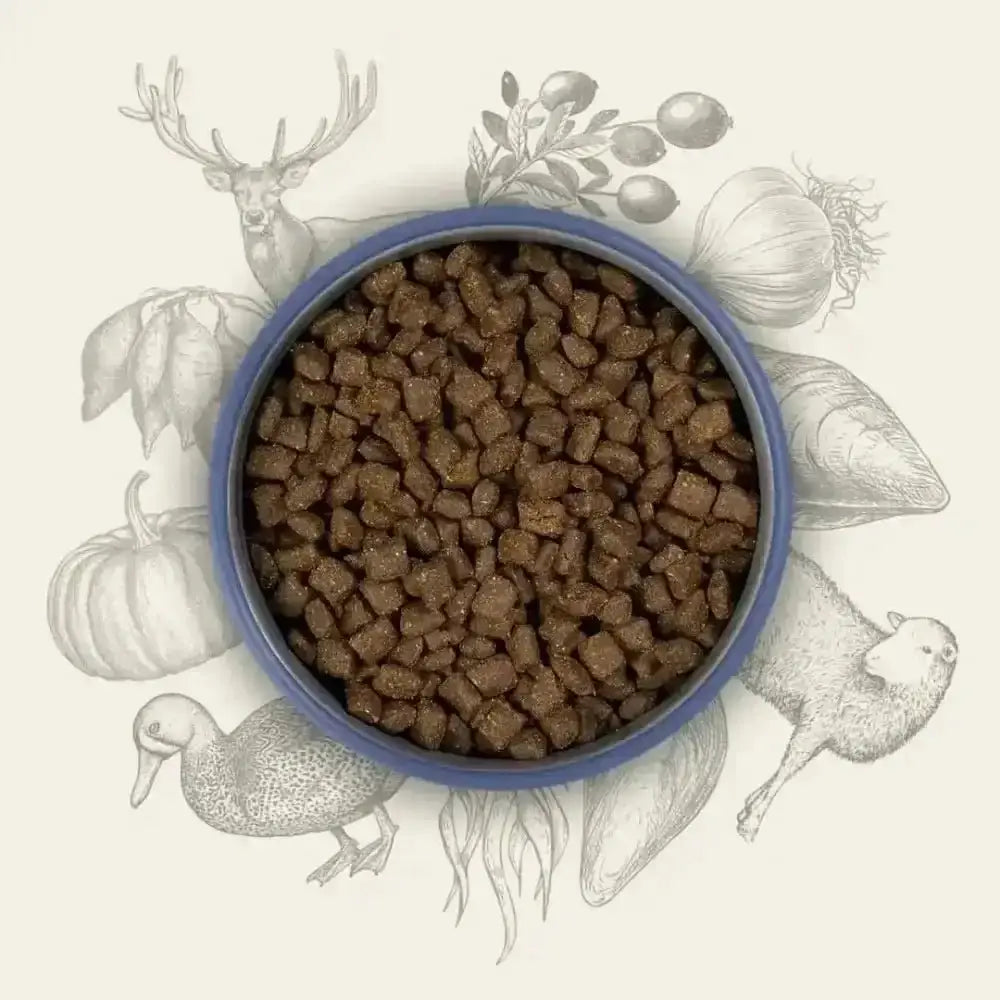 Blue bowl with brown kibble from Eden Semi-Moist Country Feast rich in amino acids