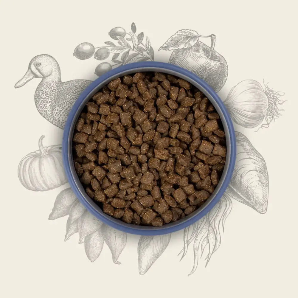 Blue bowl with brown kibble dog food featuring a duck illustration from Eden Semi-Moist Duck and Tripe