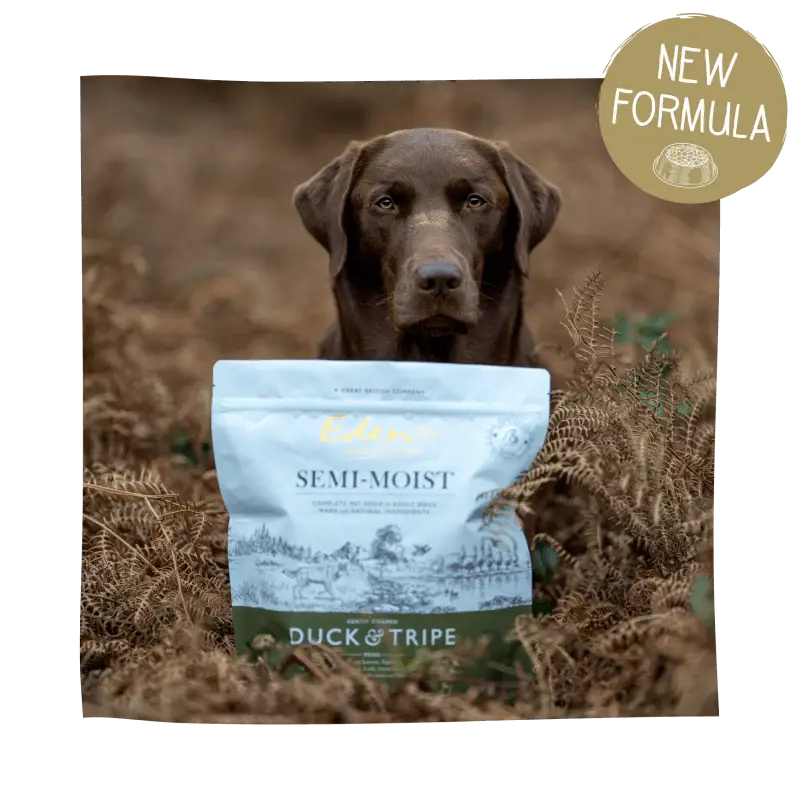 Eden Semi-Moist Duck and Tripe dog food bag with brown and green packaging, rich in amino acids hydrate