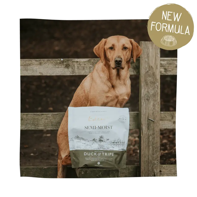 Eden Semi-Moist Duck and Tripe dog food bag with brown and white label and wooden fence